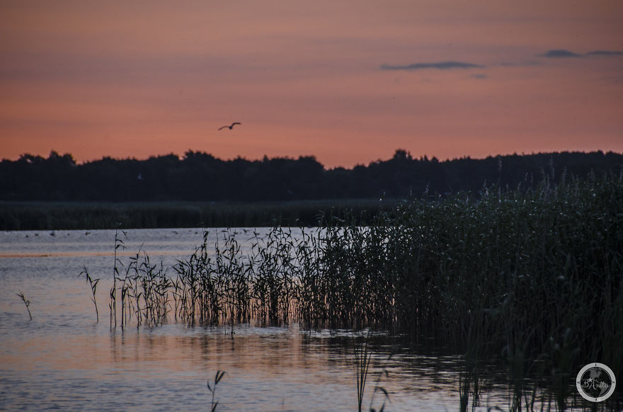 I Cycled 3551km Around Poland To Show You Don't Need To Travel Abroad To Discover Beauty I Cycled 3551km Around Poland To Show You Don't Need To Travel Abroad To Discover Beauty