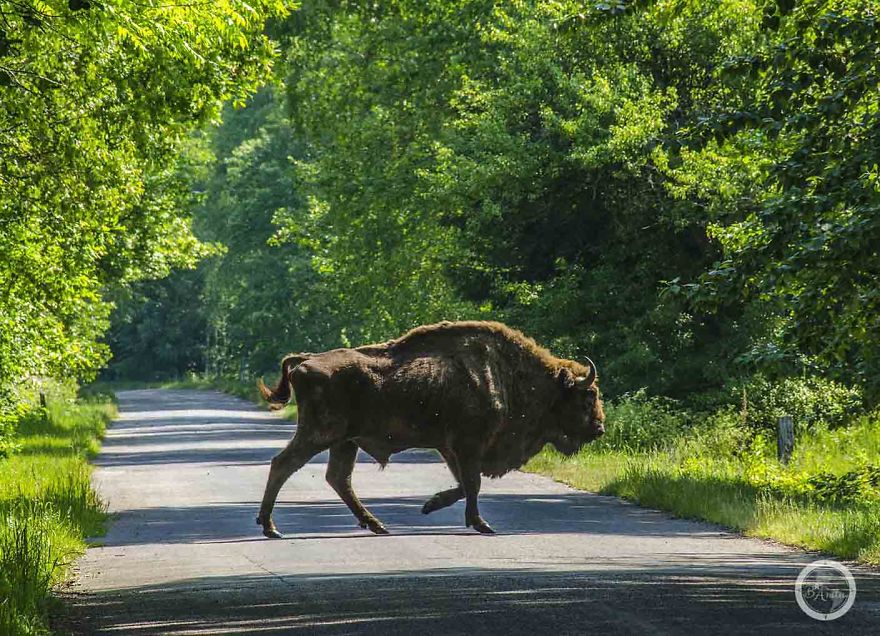 I Cycled 3551km Around Poland To Show You Don't Need To Travel Abroad To Discover Beauty