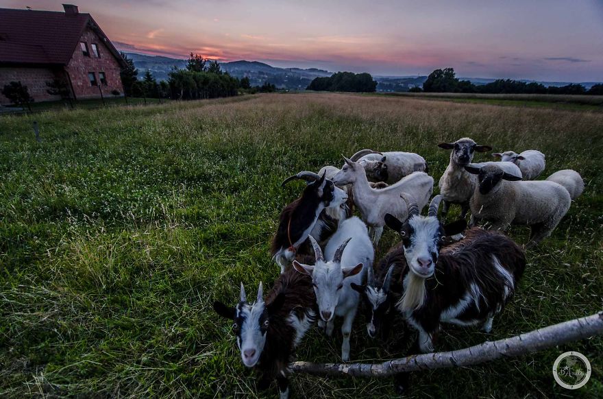 I Cycled 3551km Around Poland To Show You Don't Need To Travel Abroad To Discover Beauty