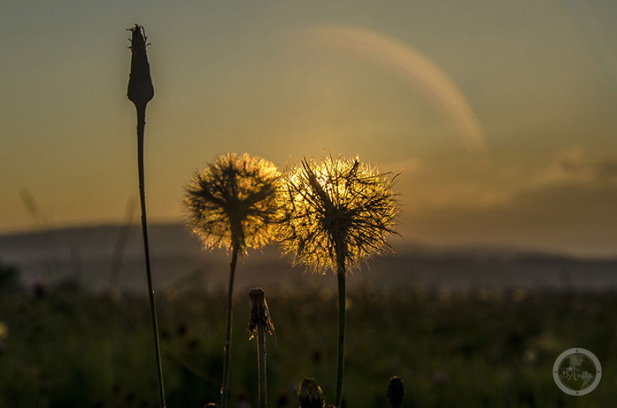 I Cycled 3551km Around Poland To Show You Don't Need To Travel Abroad To Discover Beauty