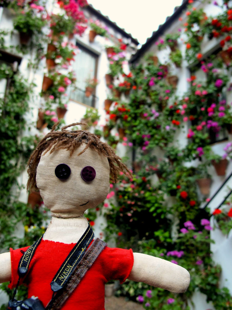 Our Little Traveling Companion Is Lost