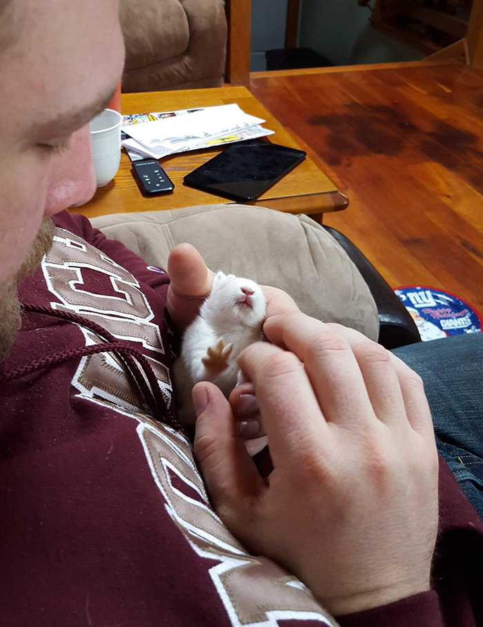 paralyzed-bunny-wheelchair-skateboard-wheelz-11 paralyzed-bunny-wheelchair-skateboard-wheelz-11