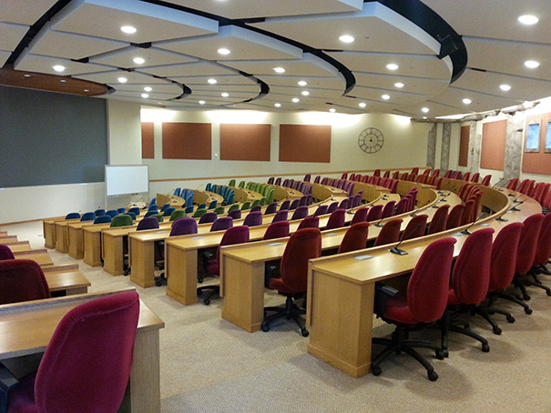 These Lecture Hall Chairs