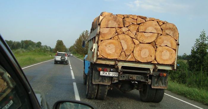 77 Perfectionists At Work