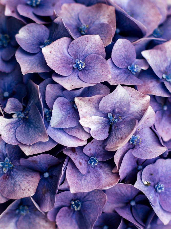 So Guys I Made Some Picutres I Hope You Like These But Sorry That I'm Not Online Always