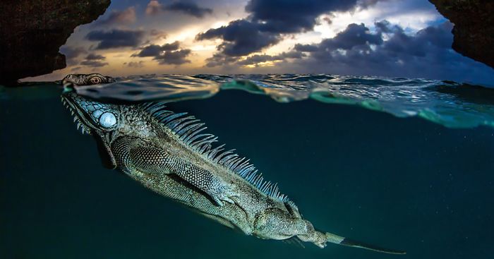 62 Breathtaking Photos Taken Between Two Worlds