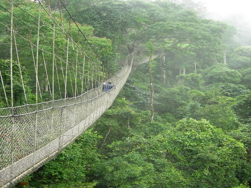 The Most Dangerous Bridges In The World