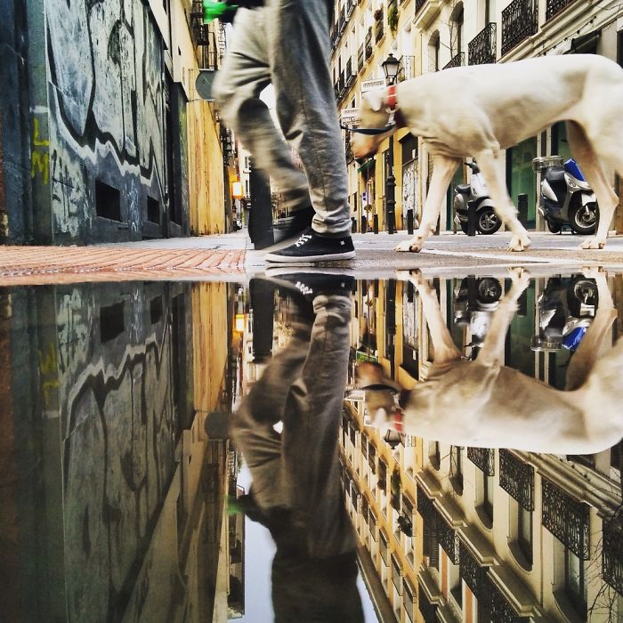 The Parallel Worlds Of Puddles In Spain The Parallel Worlds Of Puddles In Spain