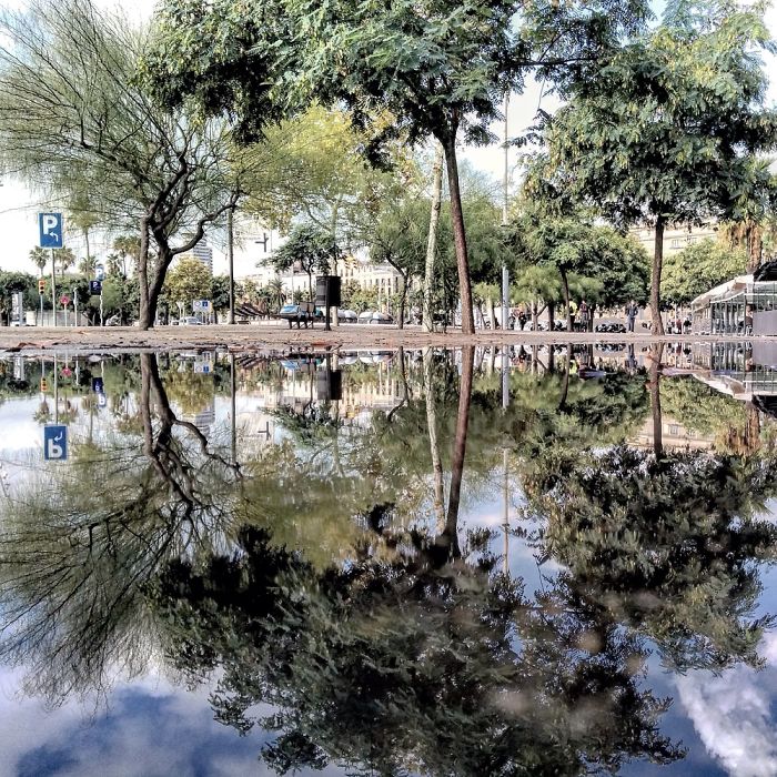 The Parallel Worlds Of Puddles In Spain