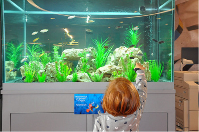 The Story Of A Library That Transformed A Greek City The Story Of A Library That Transformed A Greek City