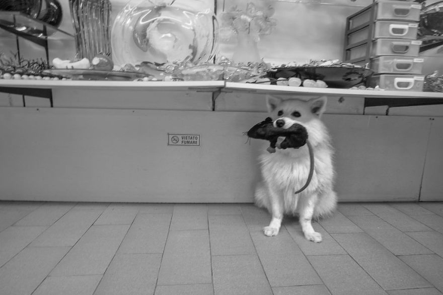 I Capture Streets, Like You Haven't Seen Before I Capture Streets, Like You Haven't Seen Before