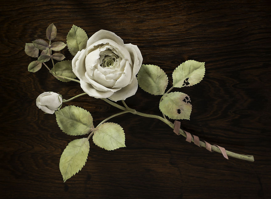 The Ukrainian-Born Man Who Grows Porcelain Flowers