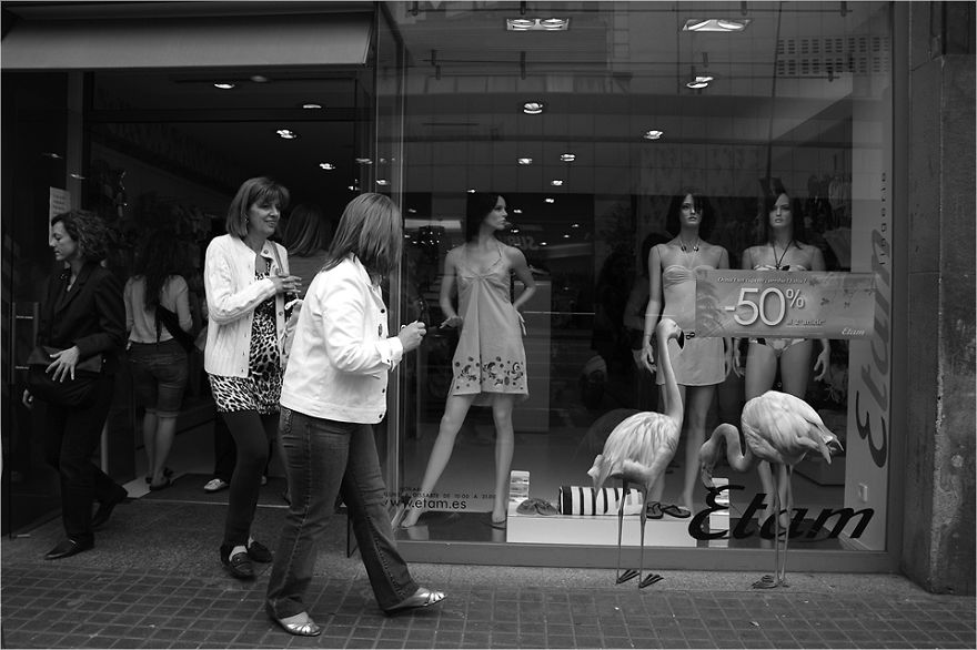 Zoo Animals Invade The Streets To Show What Tolerant Society Would Look Like Zoo Animals Invade The Streets To Show What Tolerant Society Would Look Like