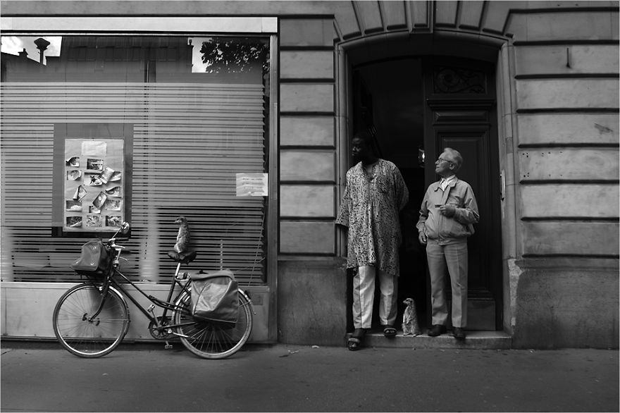 Zoo Animals Invade The Streets To Show What Tolerant Society Would Look Like Zoo Animals Invade The Streets To Show What Tolerant Society Would Look Like