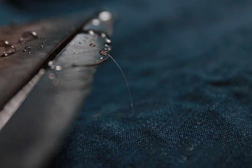 I Take Magical Photos Of Feathers And Water Drops On My Bedroom Floor
