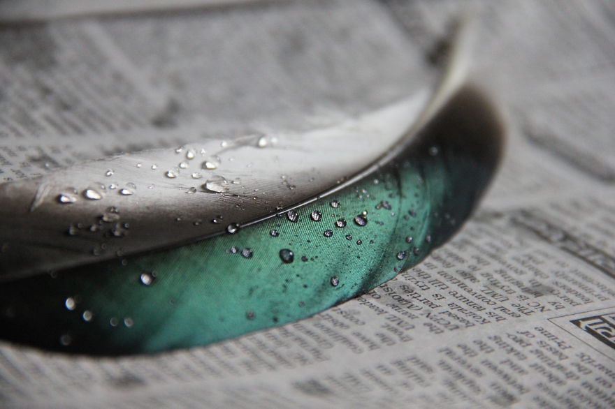 I Take Magical Photos Of Feathers And Water Drops On My Bedroom Floor I Take Magical Photos Of Feathers And Water Drops On My Bedroom Floor