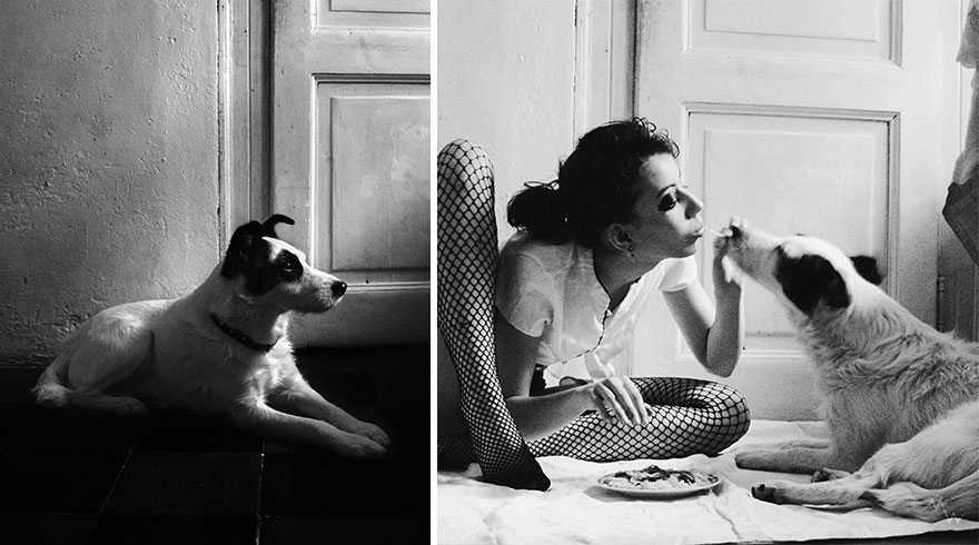 This Dog Was Left By Two Of His Owners, But Then We Saw Him, And Knew He Was The One This Dog Was Left By Two Of His Owners, But Then We Saw Him, And Knew He Was The One