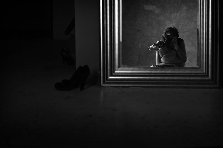 This Dog Was Left By Two Of His Owners, But Then We Saw Him, And Knew He Was The One This Dog Was Left By Two Of His Owners, But Then We Saw Him, And Knew He Was The One