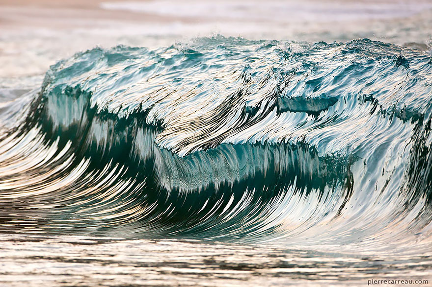 Wave