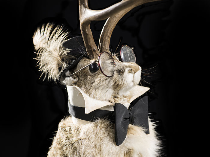 We Serve Hendrick&rsquo;s Gin With Stuffed Animals Instead Of Tonic Water Over Ice