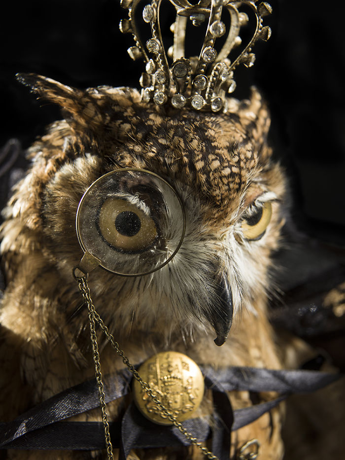 We Serve Hendrick&rsquo;s Gin With Stuffed Animals Instead Of Tonic Water Over Ice