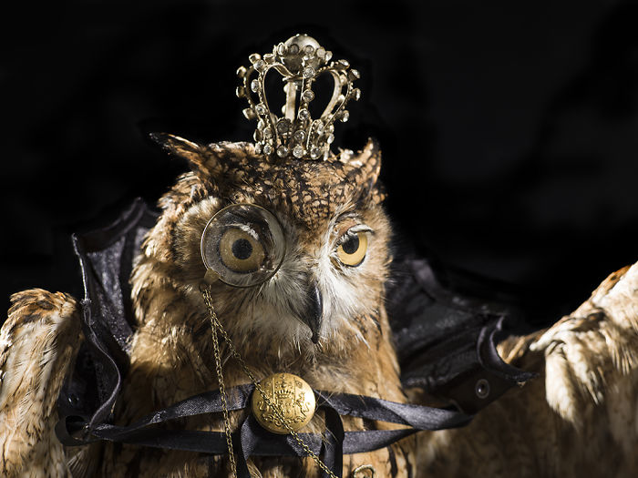 We Serve Hendrick&rsquo;s Gin With Stuffed Animals Instead Of Tonic Water Over Ice