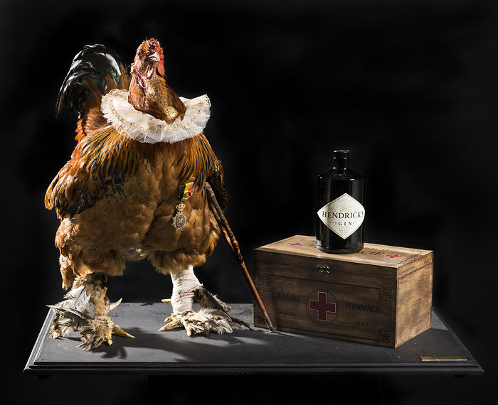 We Serve Hendrick&rsquo;s Gin With Stuffed Animals Instead Of Tonic Water Over Ice