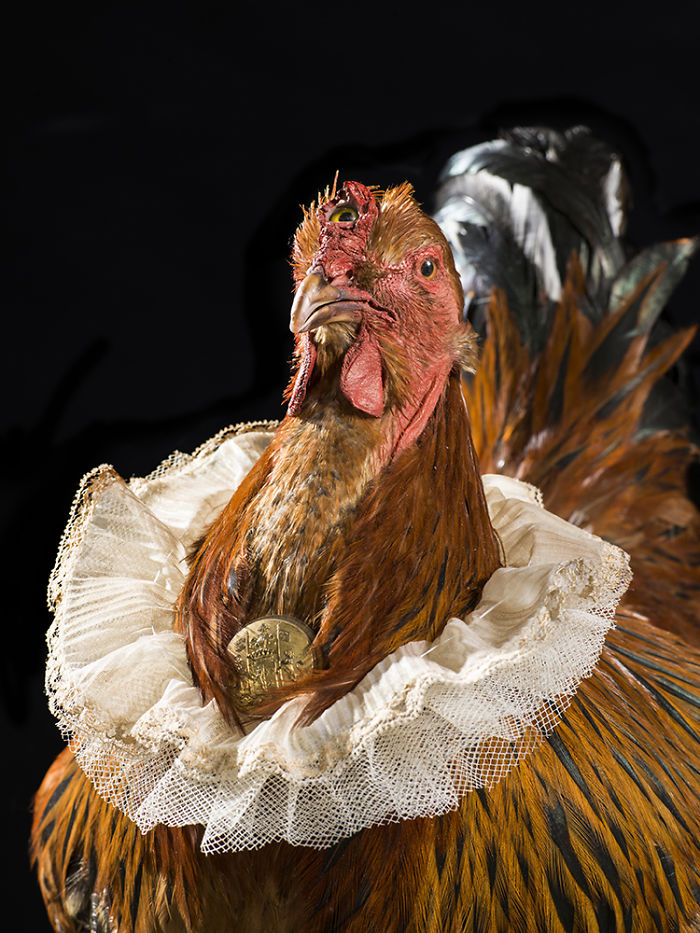 We Serve Hendrick&rsquo;s Gin With Stuffed Animals Instead Of Tonic Water Over Ice