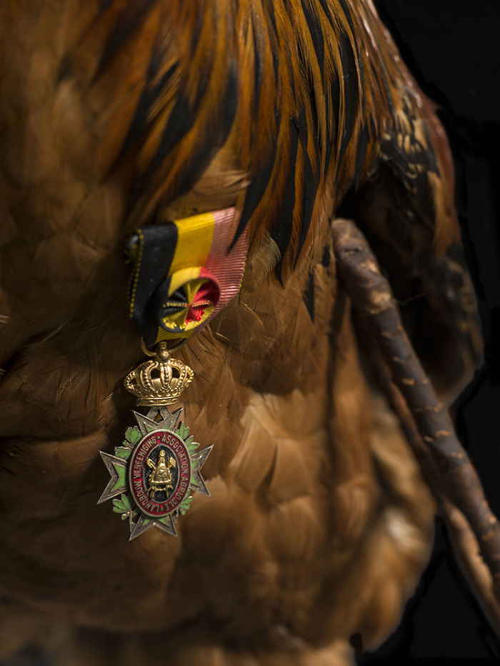 We Serve Hendrick&rsquo;s Gin With Stuffed Animals Instead Of Tonic Water Over Ice