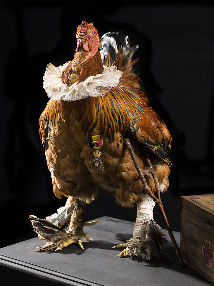 We Serve Hendrick&rsquo;s Gin With Stuffed Animals Instead Of Tonic Water Over Ice