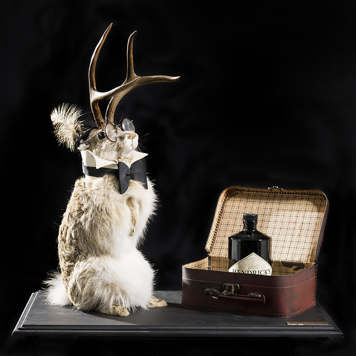 We Serve Hendrick&rsquo;s Gin With Stuffed Animals Instead Of Tonic Water Over Ice