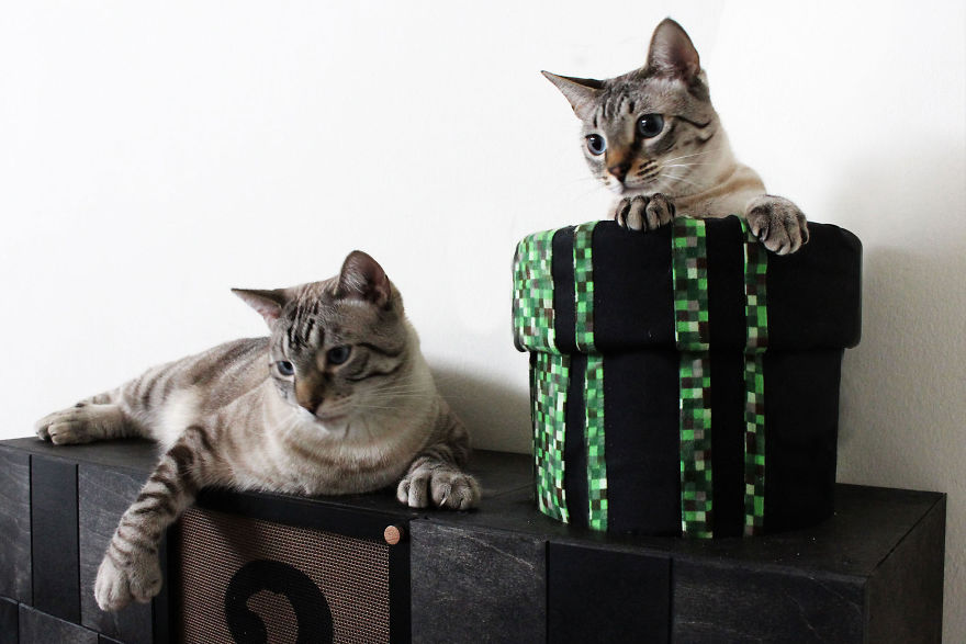 We Turned Our Room Into A Mario Cat World