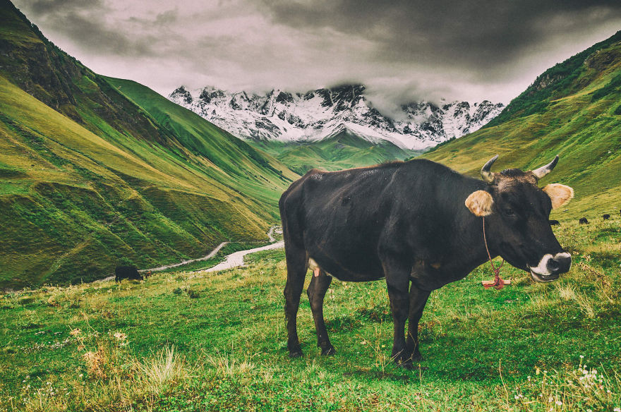 We Went To Svaneti And This Is What We Found We Went To Svaneti And This Is What We Found