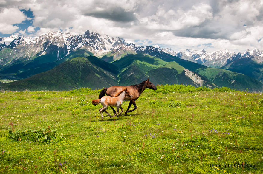 We Went To Svaneti And This Is What We Found