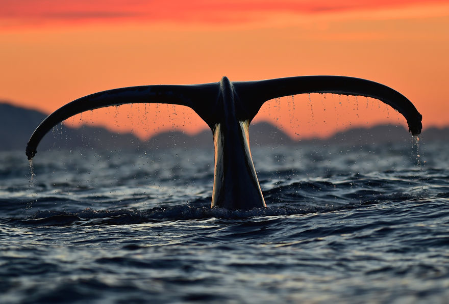 Go Into The Light And Fluke - Winter In Colourful Norway!