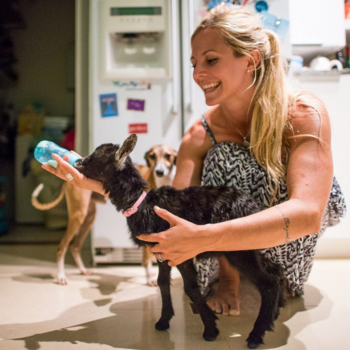 yoga-goat-penny-rachel-brathen-64 yoga-goat-penny-rachel-brathen-64