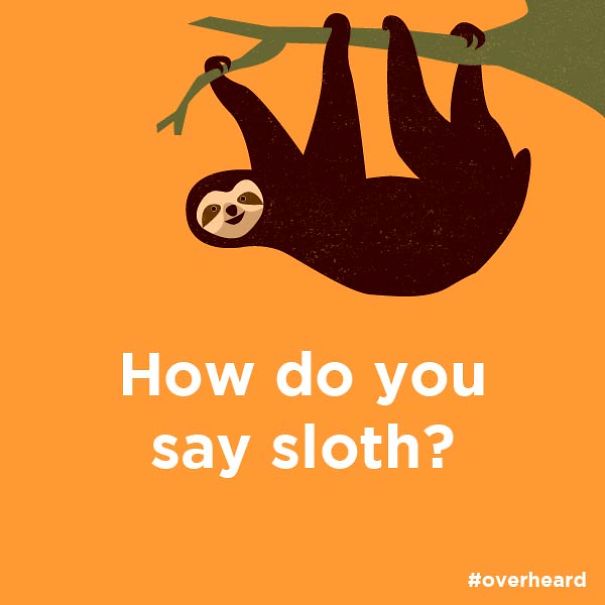Sloth Or Slow-th