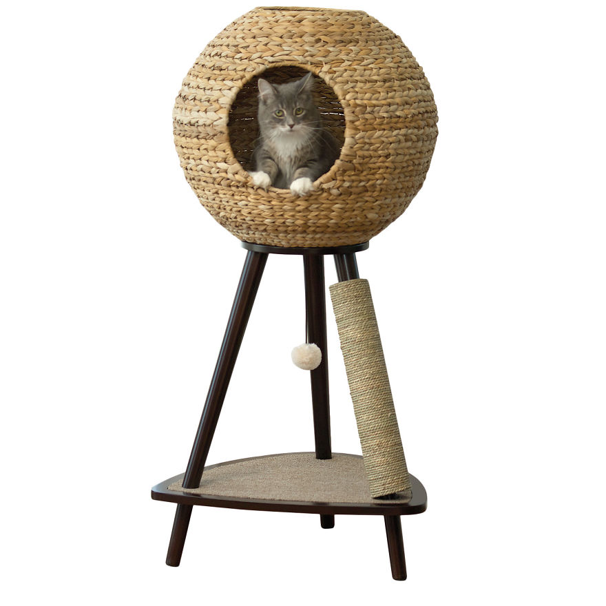 12 Of The Coolest New Trends In Cat Furniture 12 Of The Coolest New Trends In Cat Furniture