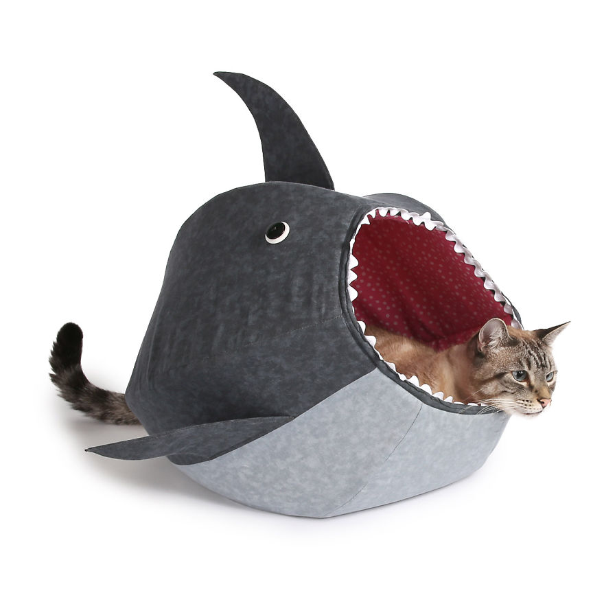 12 Of The Coolest New Trends In Cat Furniture