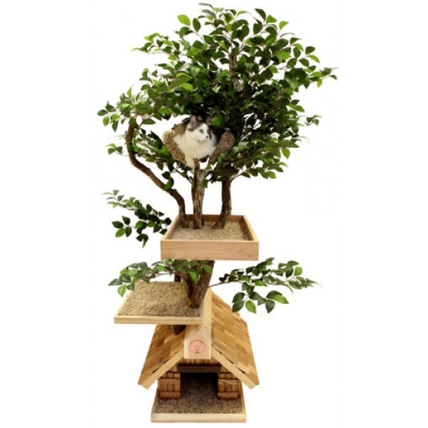 12 Of The Coolest New Trends In Cat Furniture 12 Of The Coolest New Trends In Cat Furniture