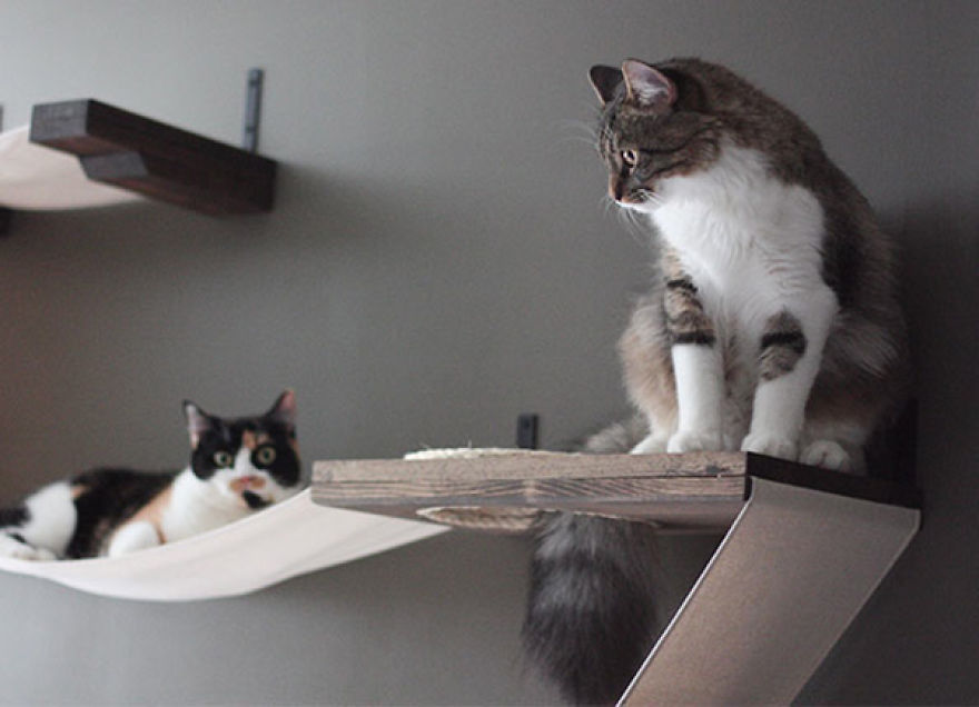 12 Of The Coolest New Trends In Cat Furniture 12 Of The Coolest New Trends In Cat Furniture