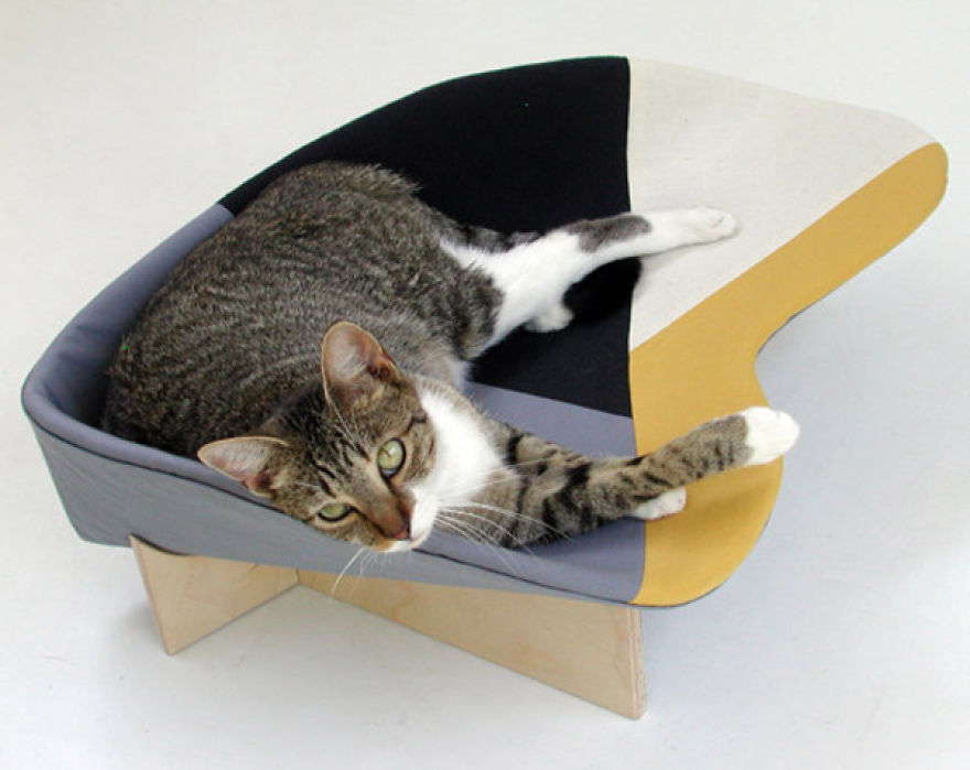 12 Of The Coolest New Trends In Cat Furniture 12 Of The Coolest New Trends In Cat Furniture