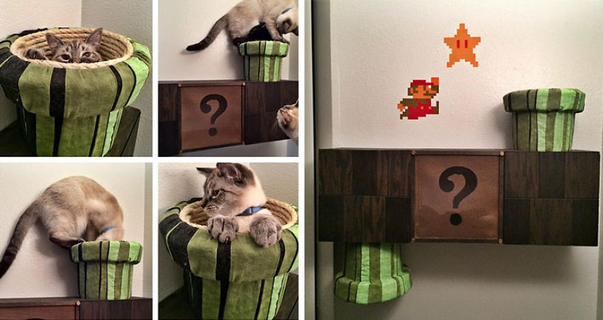 12 Of The Coolest New Trends In Cat Furniture 12 Of The Coolest New Trends In Cat Furniture