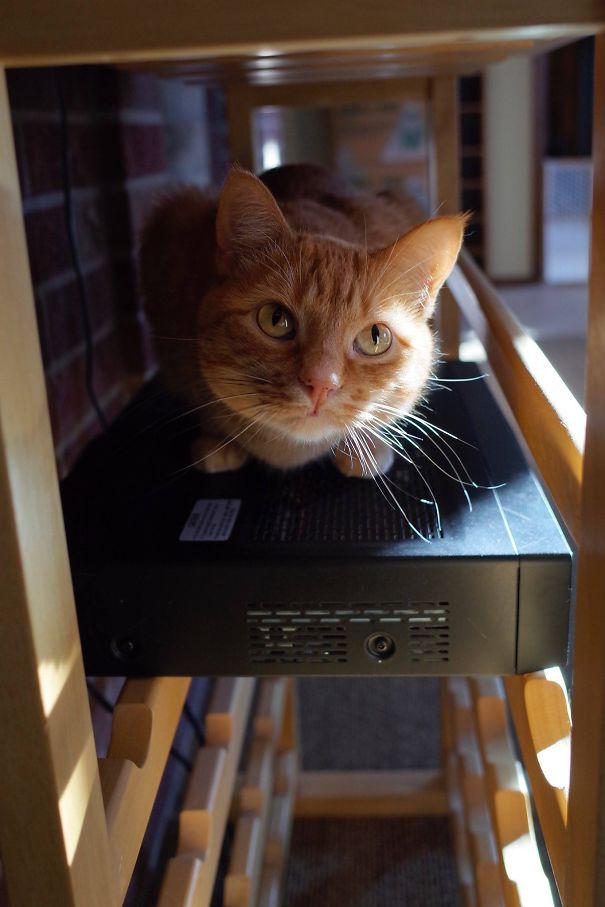 If Not For Sleeps, Why Made Of Warm?