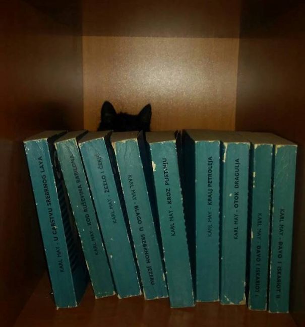 What Bed? Toys?nope, Books!