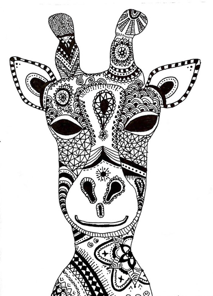 13 Ornamental Drawings That I Drew In 13 Days 13 Ornamental Drawings That I Drew In 13 Days