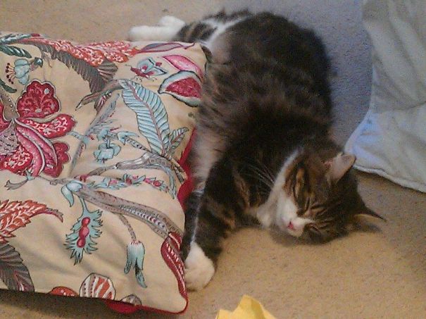 Near Enough Is Good Enough Right?!?!