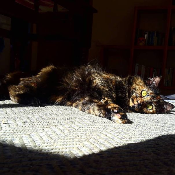 Sun Makes Me Prettier