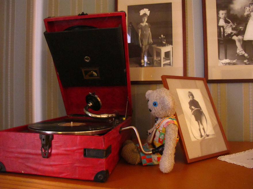 20 Things To Do Every Day To Make You As Happy As A Teddy