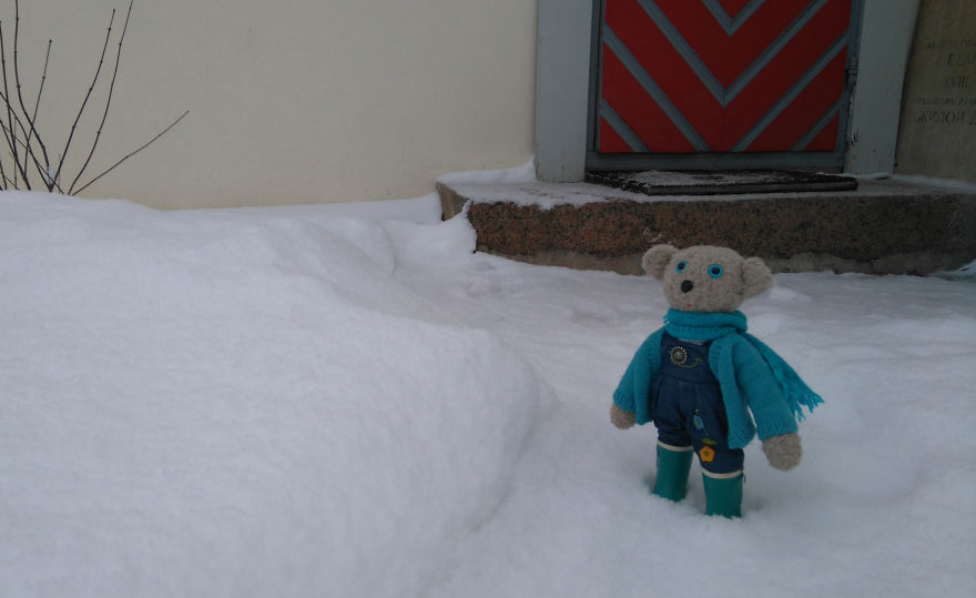 20 Things To Do Every Day To Make You As Happy As A Teddy